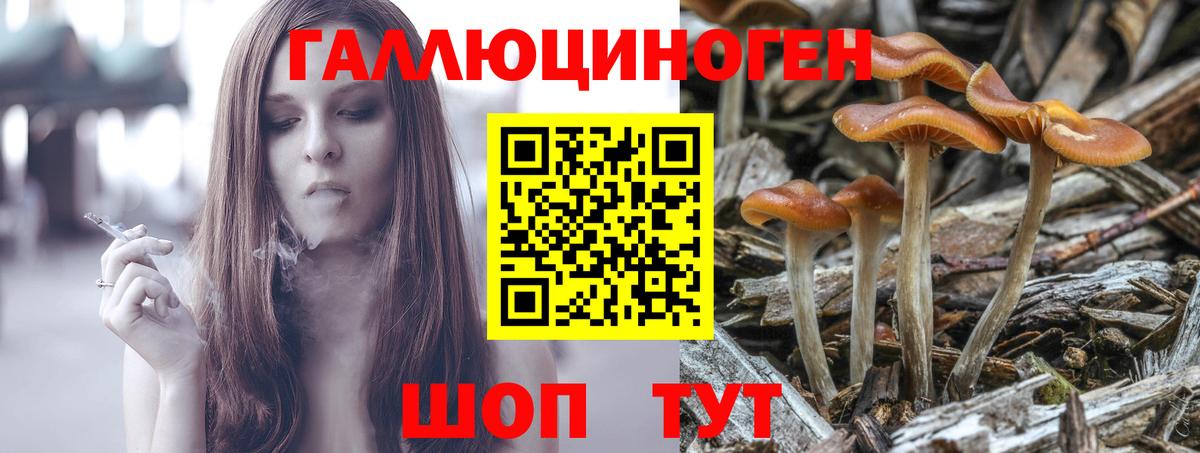 Галлюциногенные грибы ЛСД Каменка