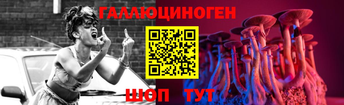 купить наркотики сайты  Вход с VPN  Каменка  Галлюциногенные грибы Magic Shrooms  Галлюциногенные грибы ЛСД 